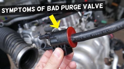 purge valve|5 Signs Of A Bad Or Failing Canister Purge Valve